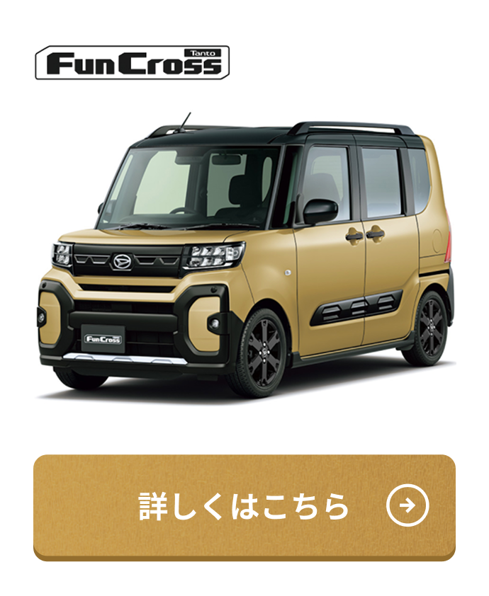 FunCross